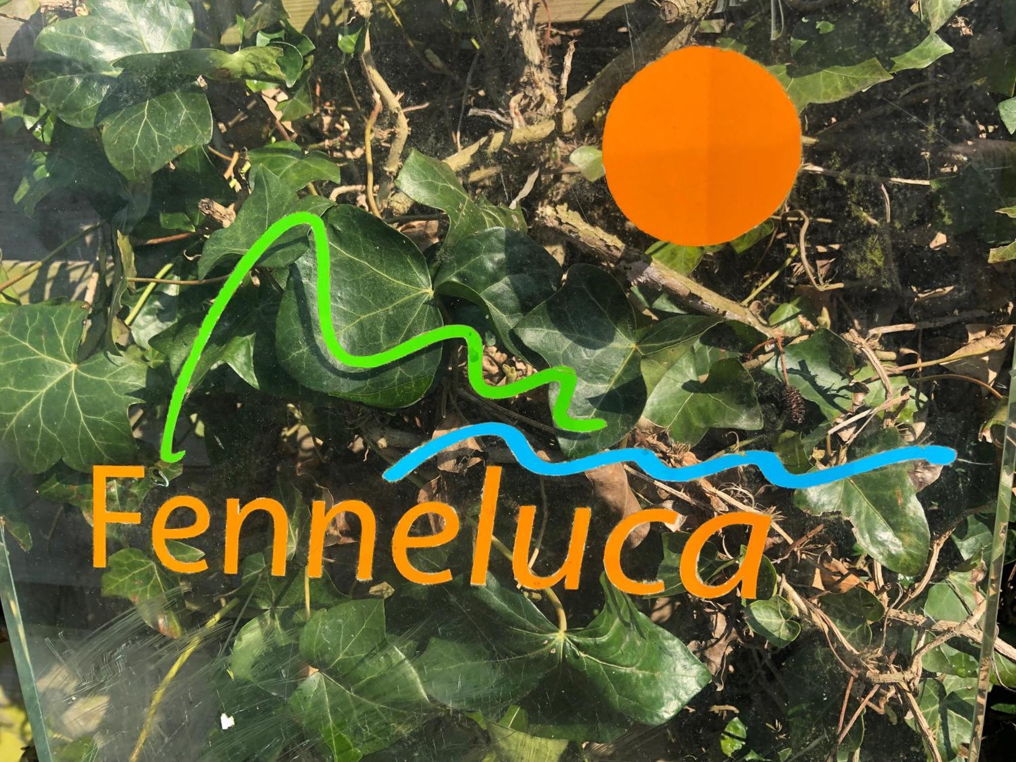 Fenneluca, Den Hoorn Den Hoorn (North Holland)